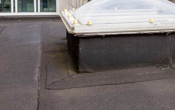 disadvantages of St James South Elmham flat roofs