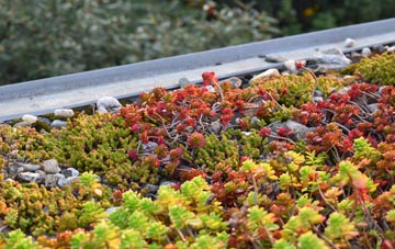 the cost of St James South Elmham green roof installation