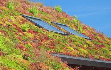 St James South Elmham living roof systems