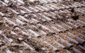St James South Elmham roof cleaning companies